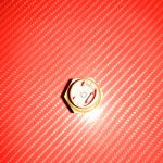 180693846_134002555380135_8794260642979610539_n