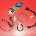 269558652_3053809981500573_8974761525127111957_n