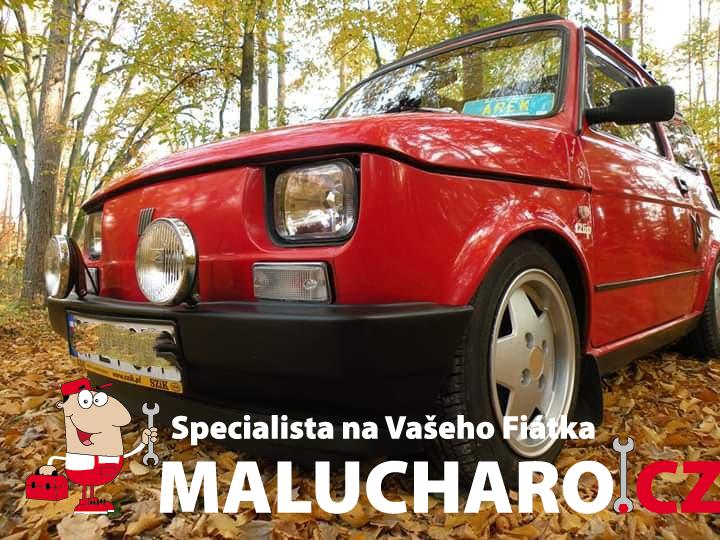 57987837_887855824899770_4870918695246888960_n